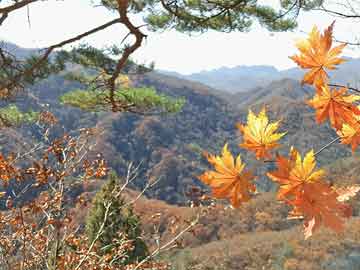 马德里旅游，马德里旅游一日游攻略！